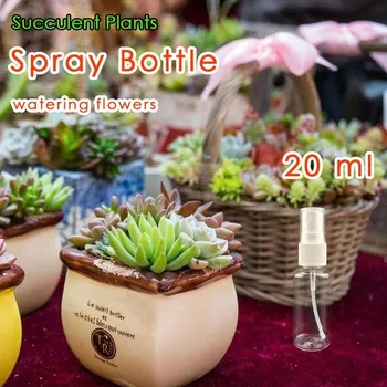 1 Pcs Mini Spray Frasco de 20ml Pequeno de Plástico Transparente Pulverizadores Dispositivo de Rega Para Suculentas Adicionar a Umidade Flores do Jardim